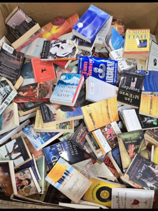 Scholastic Other - 4 Book Bundle Lot Set Chapter Books Young Adult Literature Novels Mystery Books